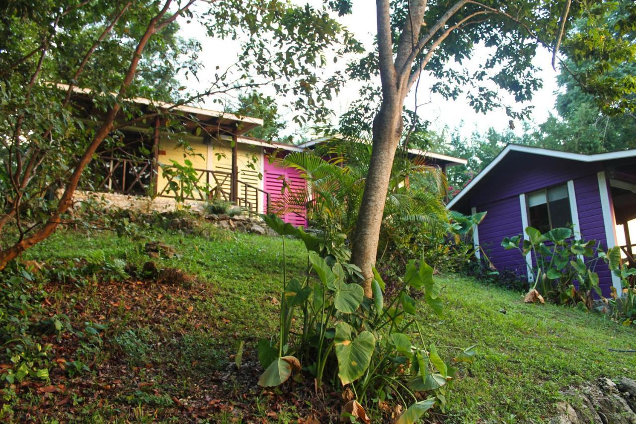 Winika Alterra Villa Palenque Exterior photo