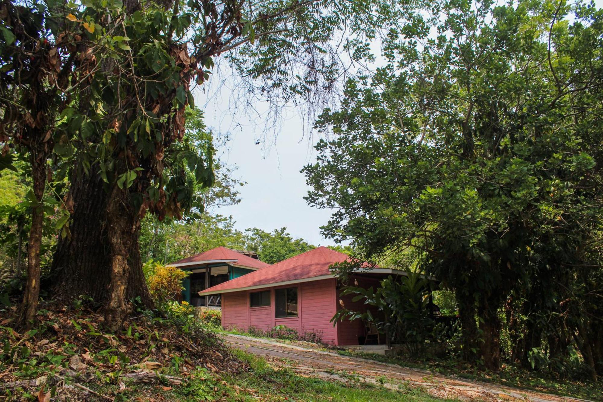Winika Alterra Villa Palenque Exterior photo